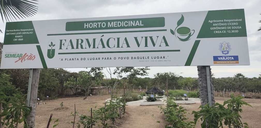 Farmácia Viva  - Semear Ação / Divulgação