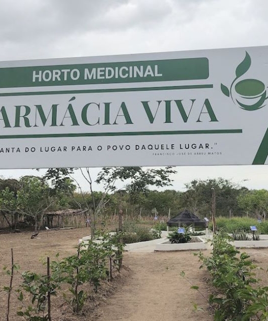 Como apoiar a Semear Ação, e colaborar a nossas causas